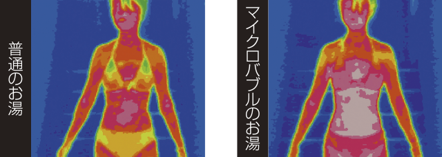 普通のお湯とマイクロバブルのお湯（38℃）に5分間入浴した後、15分後に赤外線サーモグラフィで体表面温度を比較撮影